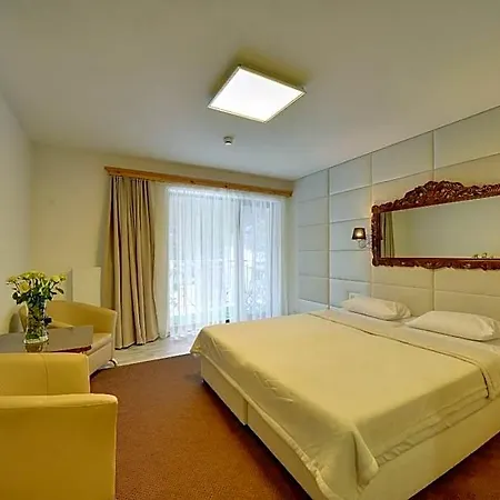 Magnat Szklarska Poreba Hotel *